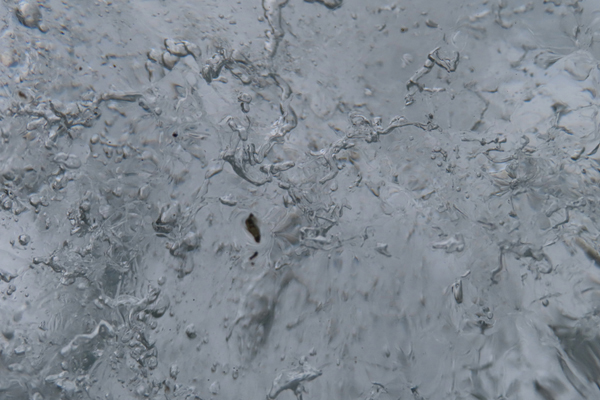 close up of glacier ice Glacier Bay Alaska