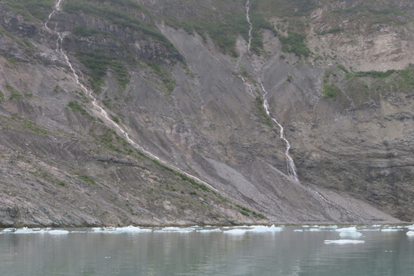 McBride Glacier area of Glacier Bay Alaska