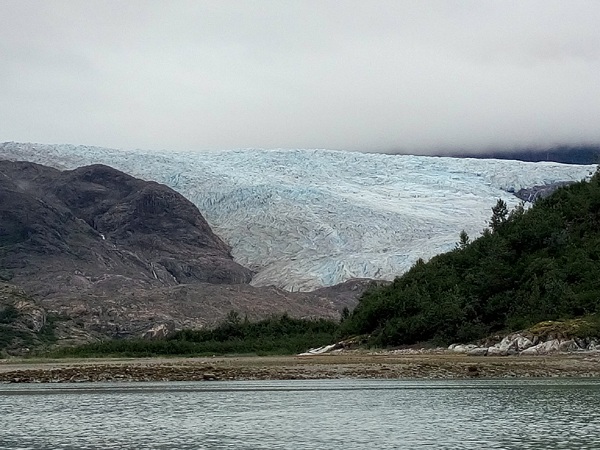 Near Riggs Glacier Glacier Bay National Park