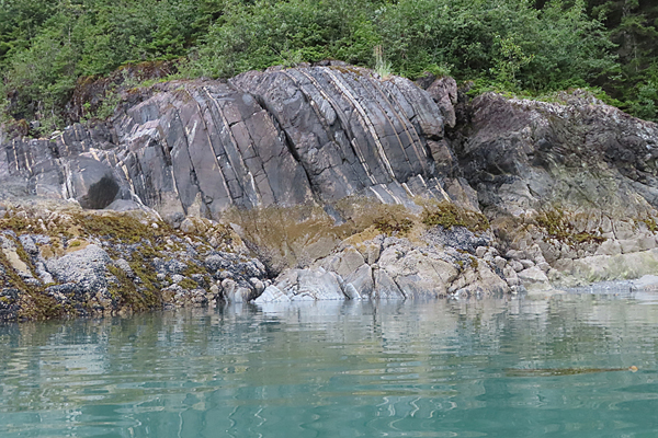 Shoreline in muir inlet Glacier Bay National Park Alaska