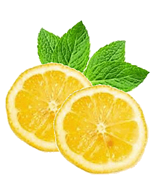 slice of lemon picture