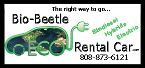 Bio-Beetle ECO rental Cars