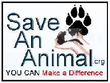 Save An Animal non profit