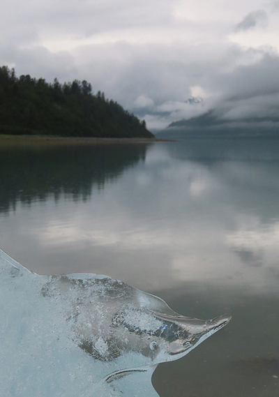 nunatuk cove Glacier Bay National Park