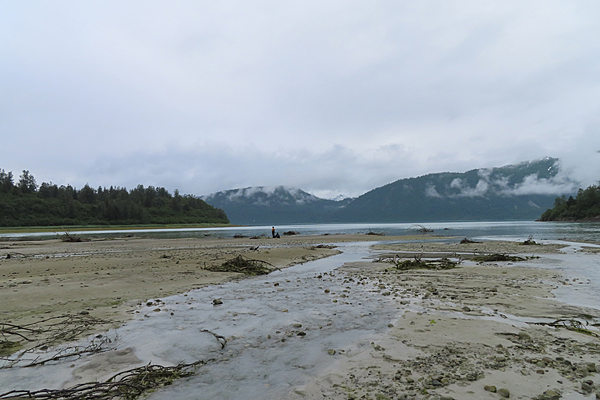 wachusett inlet Glacier Bay National Park