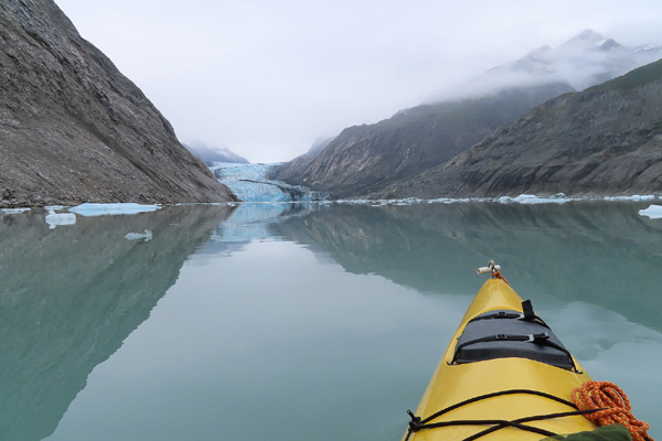 McBride Glacier area of Glacier Bay Alaska