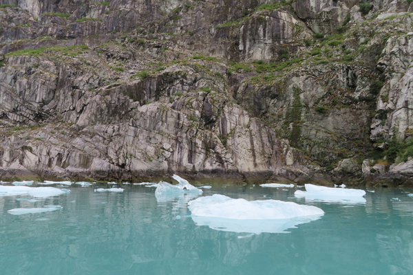 McBride Glacier area of Glacier Bay Alaska