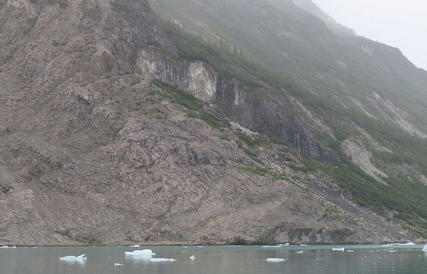 McBride Glacier area of Glacier Bay Alaska