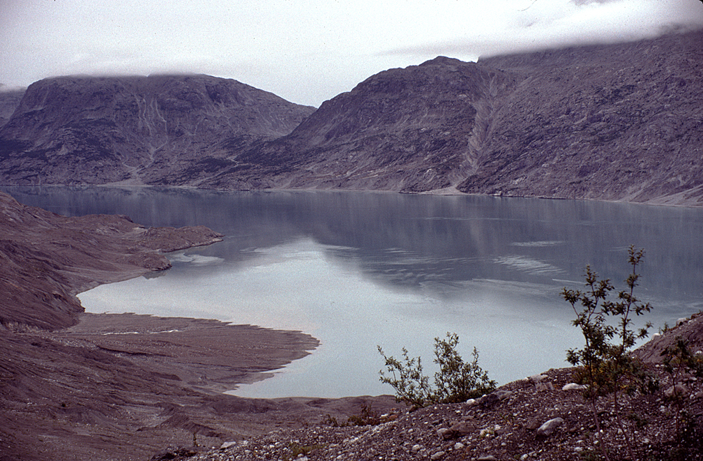 Near upper end of Muir inlet Glacier Bay National Park