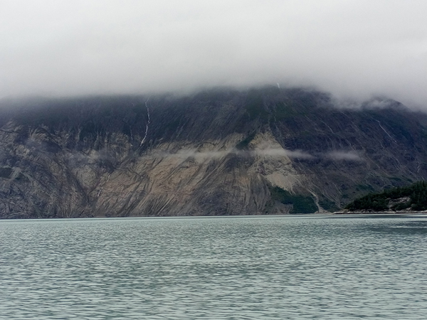 Near Riggs Glacier Glacier Bay National Park