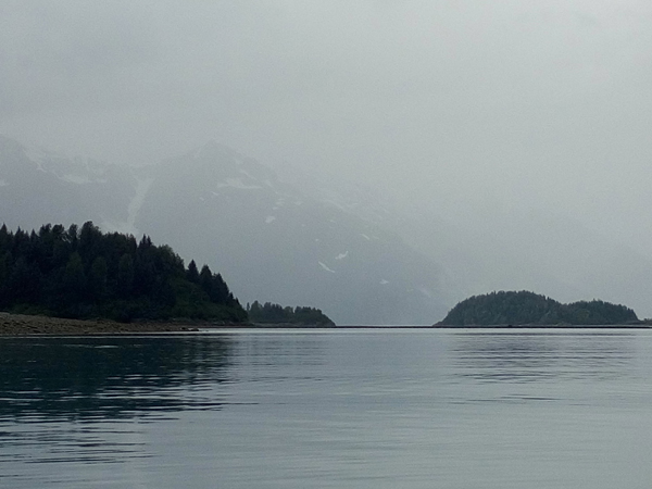 Shoreline in muir inlet Glacier Bay National Park Alaska