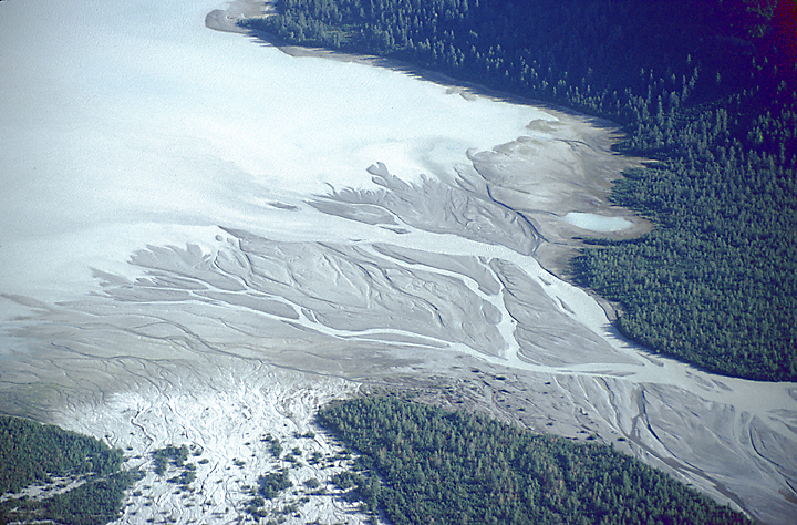 aerial in alaska stream meeting ocean