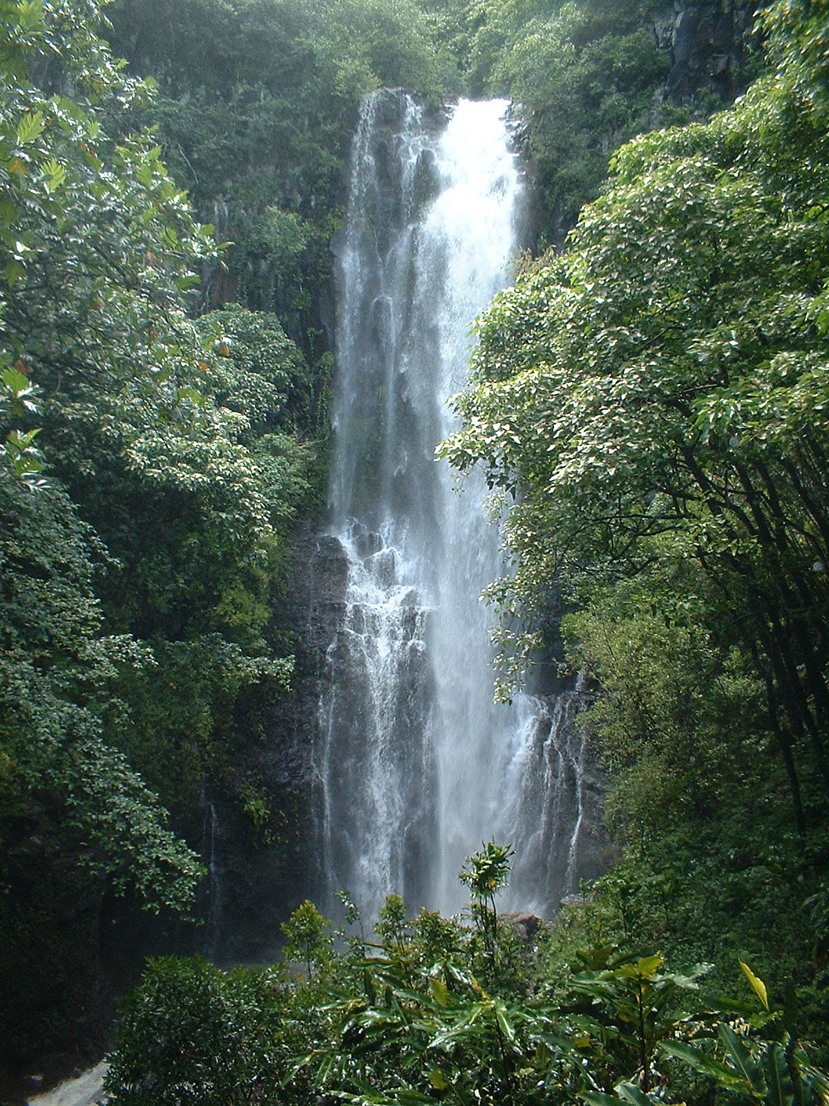 white waterfall in green tropical landscape on maui road to hana