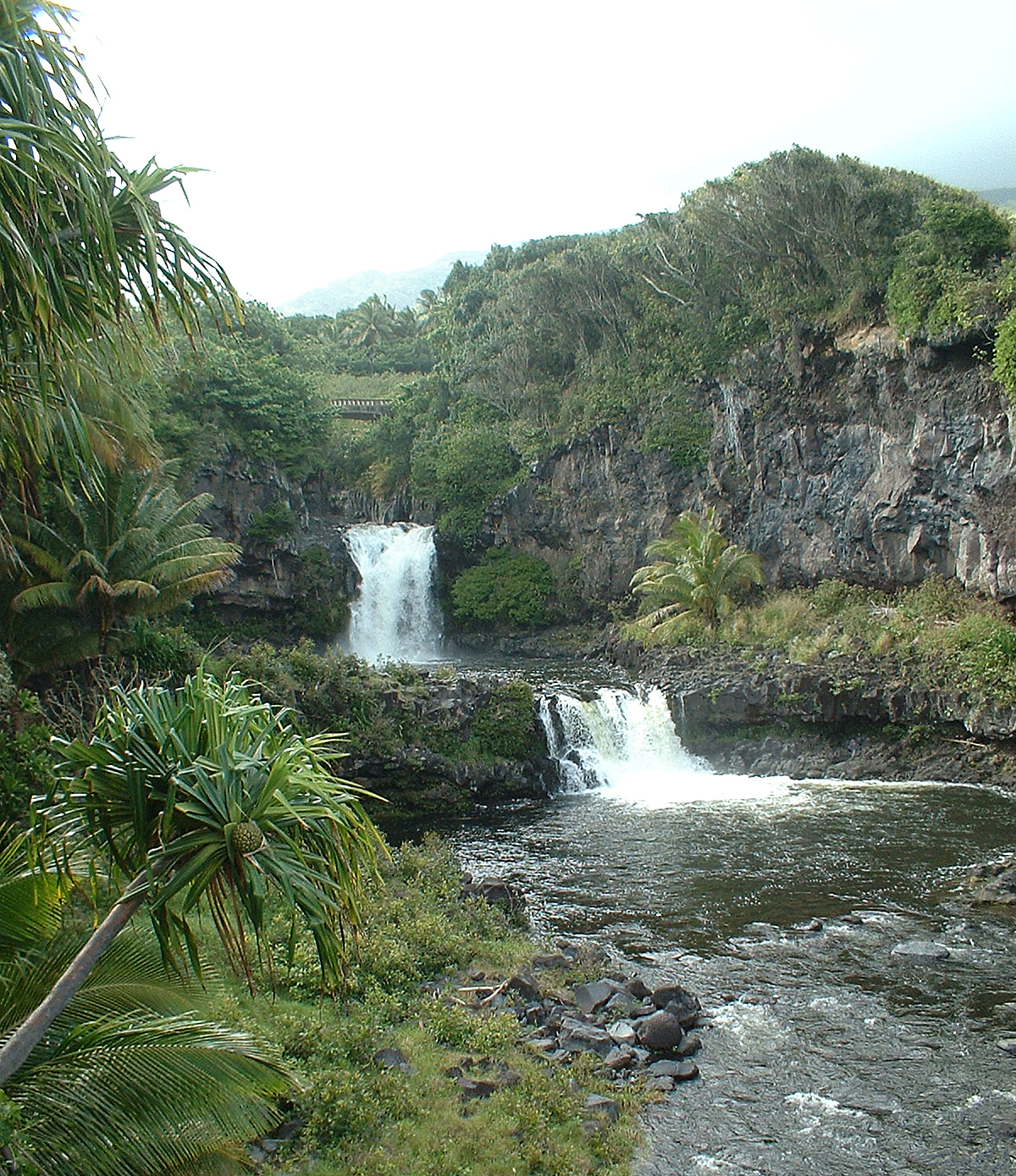 2 waterfalls in stream with green tropical plants