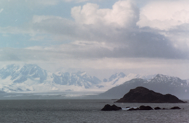 brady glacier