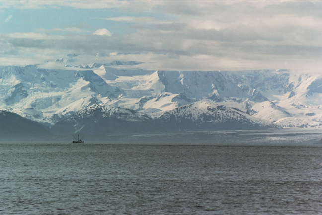 brady glacier