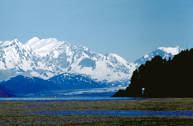 brady glacier