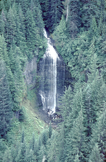 lacey waterfall surrounded by green trees