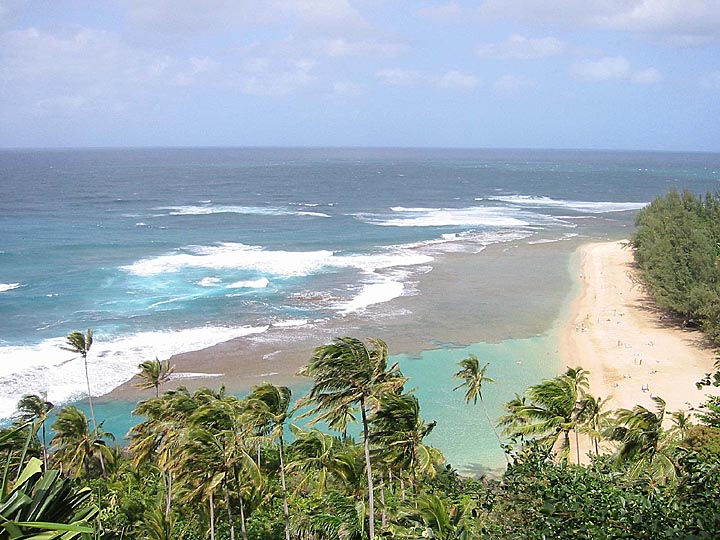 green blue and brown water with palm trees hamoa beach maui hawaii