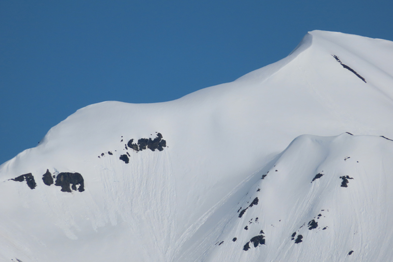 Mountain top in Alaska