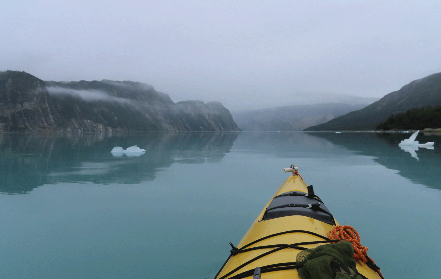 kayak in glacier bay alaska