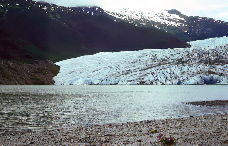 Mendenhall Glacier alaska