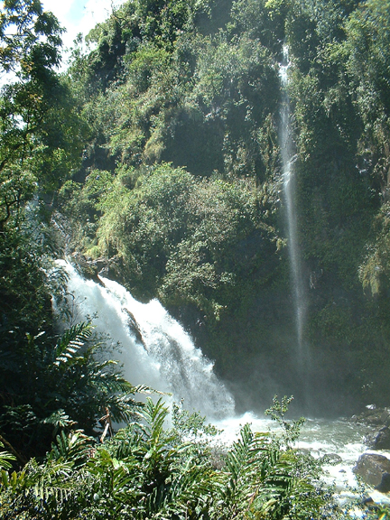 short and tall waterfall in green tropical setting maui hawaii