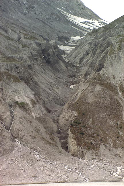 land recently deglaciated near muir glacier