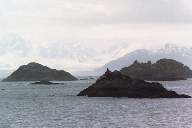 outer coast gulf of alaska 