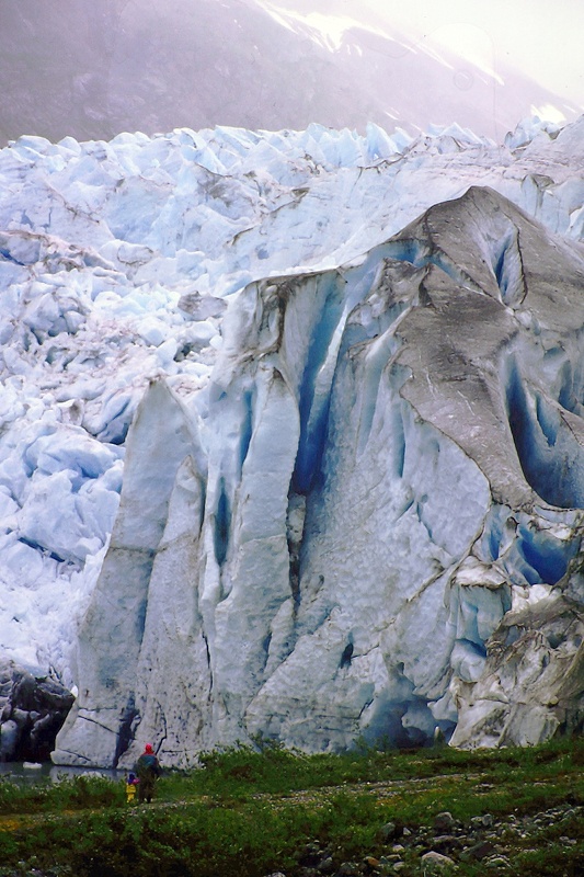 people walking near Reid Glacier alaska