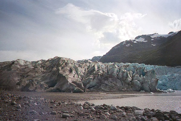 Reid Glacier Glacier bay national park alaska