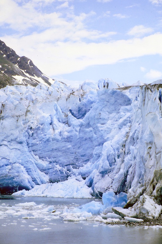 Very Blue Reid Glacier alaska