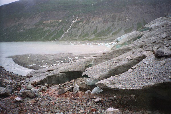 Reid inlet, Glacier bay alaska