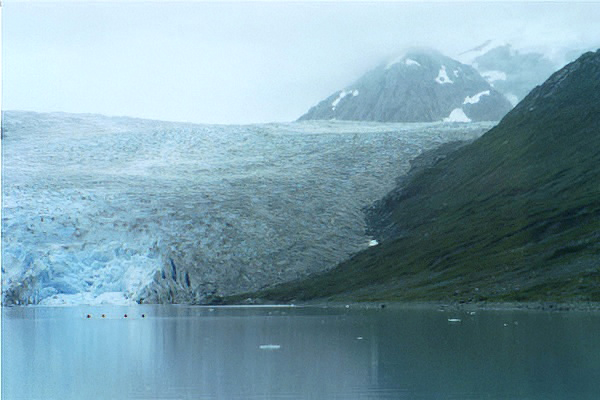 Kayaking by Reid Glacier alaska