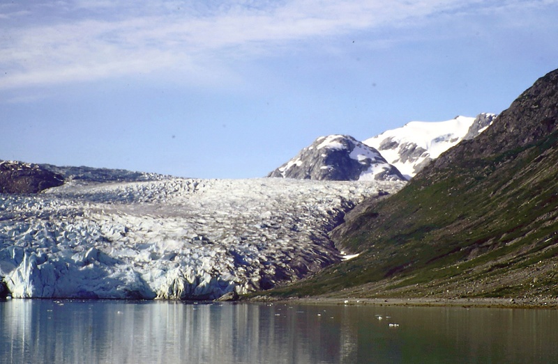 Right side of Reid Glacier alaska