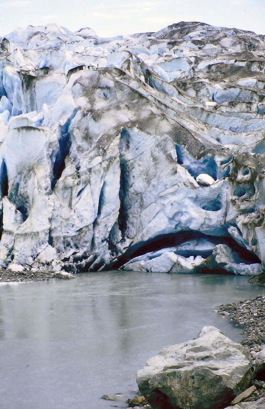 glacial erratic big rock by Reid Glacier alaska