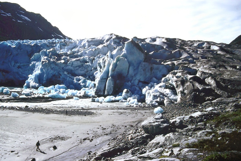 person walking by Reid Glacier alaska