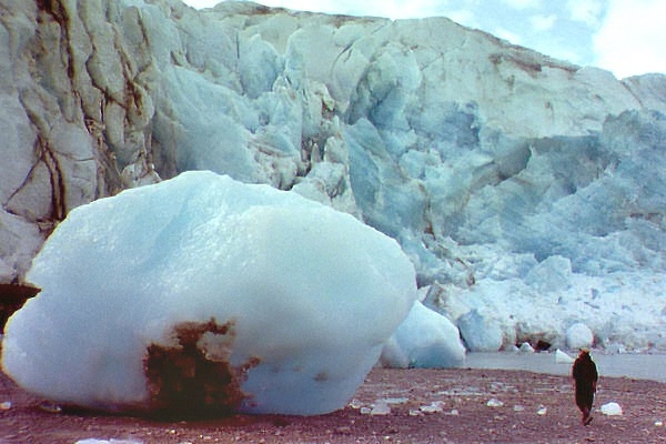 Reid Glacier alaska