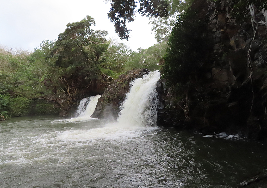 2 waterfalls side by side with blackish water green trees