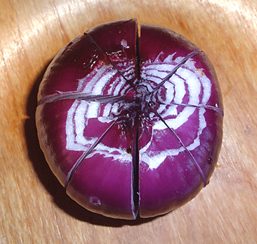 cutting an onion picture