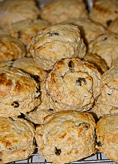 vegan raisin biscuits quick bread picture
